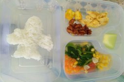 Dinkes dorong sekolah bentuk tim pemantau bekal