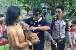 Masyarakat Kubu Raya dan Pontianak diimbau waspadai rabies