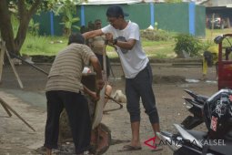 Wabub Gotong Royong Sambut Haul Guru Sekumpul