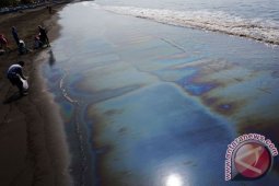 Pemerintah Didesak Tangani Tumpahan Minyak di Teluk Balikpapan
