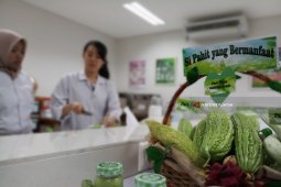 Mahasiswa UKWMS Olah Pare untuk Minuman Antidiabetes (Video)