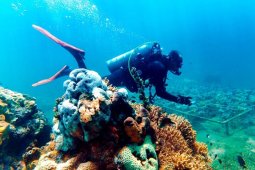 Fishdic Unibraw Malang Akan Laksanakan Ekspedisi Pulau Moyo