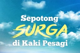 Buku "Sepotong Surga di Kaki Pesagi" Segera Diluncurkan