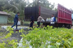 KPH Tabalong menyalurkan 10 ribu bibit tanaman