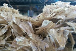 Sumut pasok ikan pakang ke Aceh
