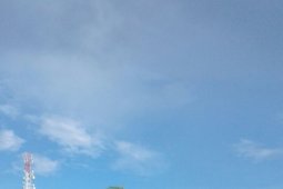 Kalbar dorong kawasan pangan alternatif