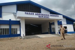 Pembangunan Pasar Agro Bisnis Modern Barabai Sudah 80 Persen