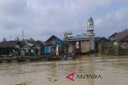 Budidaya Ikan Jaring Apung