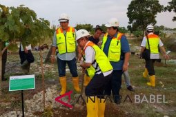 Komisi VII DPR RI tanami lahan bekas tambang