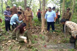 UGM Berencana Ekskavasi Makam Kubur Kalang Bojonegoro September