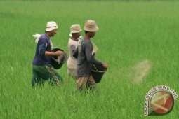 NTP Banten Maret Turun  0,46 Persen