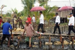 Presiden kunjungi program padat karya tunai