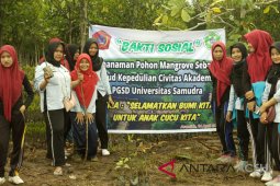 pegiat lingkungan tanam mangrove di Aceh Timur