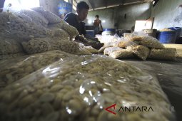 Pengusaha di Cianjur kurangi ukuran tahu-tempe