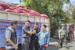 Karantina pertanian ingatkan bawang hibah jangan ditanam