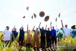 PJB Dorong Produksi Padi Organik