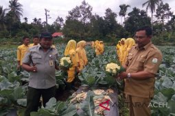 Koperasi Tapuga Saree bertekad tampung hasil pertanian