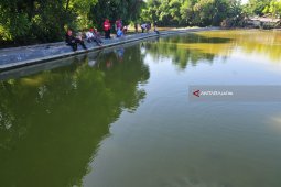 Wisata Tambak Ikan
