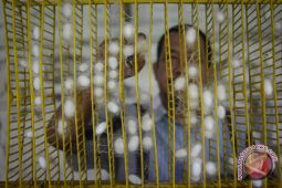 Produksi kepompong sutra dunia didominasi China hingga 75 persen