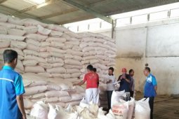 Jelang Musim Tanam, PKT Siapkan Urea 9.596 Ton di Jember