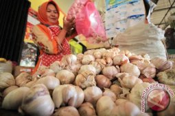 Kata pengamat, ada potensi impor hingga 100 ribu ton bawang putih