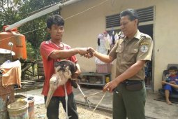 BKSDA Kalbar kembali lepasliarkan belasan satwa dilindungi