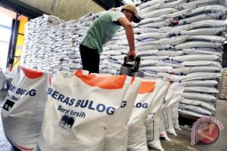 Bulog: stok beras nasional tembus 1,3 juta ton