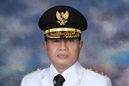 Hakim itu kini jadi Plt Gubernur