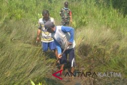 BPBD: Bau menyengat disebabkan pipa Pertamina bocor