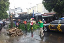 Aksi Tolak Reklamasi Teluk Benoa