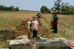 Pemkab Bangkalan Optimalkan Pengembangan Jaringan Irigasi