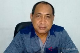 Jumlah wisatawan ke Maluku Tenggara meningkat tajam