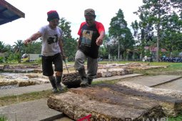 Harga karet di Batanghari sulit naik