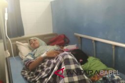 Satu keluarga di Bangka keracunan jamur