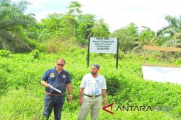 Ratusan KK di Abdya terancam jadi pengangguran