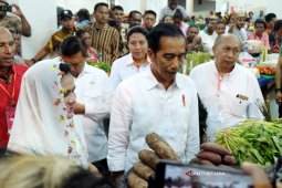 Di Pasar Mama-Mama Jayapura Presiden Belanja Ketela-Sayur (Video)