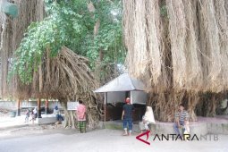 pemkot segera relokasi pkl makam loang baloq