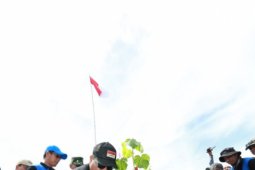 Pemprov rehabilitasi  200 hektare lahan kritis