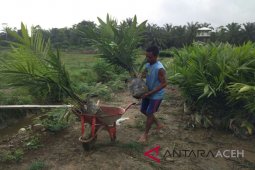 Legislator minta BPN percepat terbitkan koordinat eks HGU perusahaan sawit