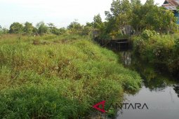 Bupati Minta Dukungan Pengembangan Lahan Rawa Lebak