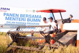 Menteri BUMN Panen dan "Sergab" di Karawang (Video)