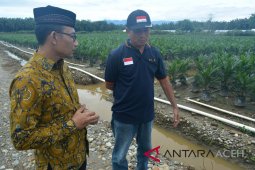 Sirkulasi keuangan macet jika HGU sawit tutup