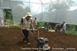 STPP Bogor dampingi Gapoktan lembang sukseskan upsus