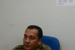 Pembalakan hutan secara liar masih menonjol di Kalbar