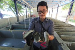 LIPI: Teknologi budidaya Terbaru untuk dorong peningkatan ekonomi nelayan