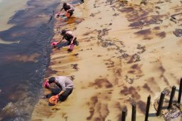 Tumpahan minyak di Teluk Balikpapan disebabkan pipa Pertamina patah