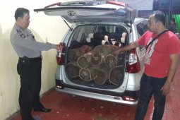 Polisi Ungkap Kayu Ilegal di Ponorogo