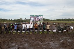 Mempawah doing dry land rice farming movement