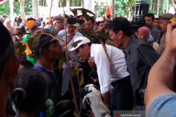 Kementerian Pertanian Gelontorkan Bibit Kopi untuk Bondowoso
