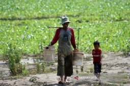 BPBD Bojonegoro Kaji Prakriaan Cuaca Kemarau